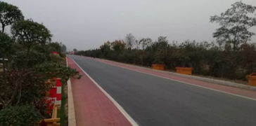 以道路建設(shè)為引擎，驅(qū)動(dòng)基礎(chǔ)設(shè)施、營(yíng)商環(huán)境與環(huán)保協(xié)同提升的工程管理實(shí)踐