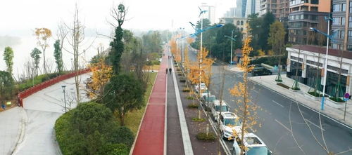 樂山高新區36條道路建設扎實推進 工程管理全面升級